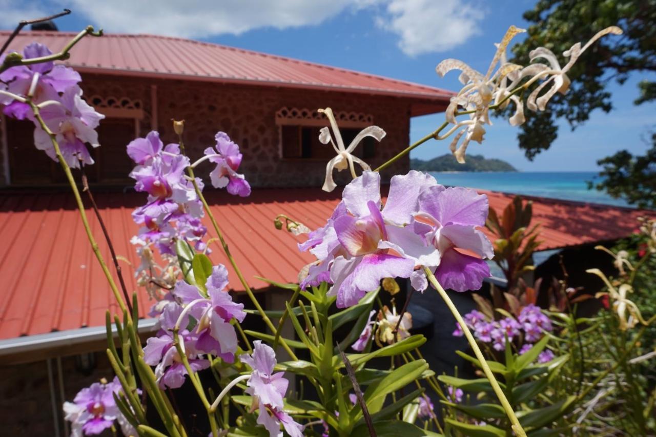 La Saline Villa Anse Volbert Village  Exterior photo